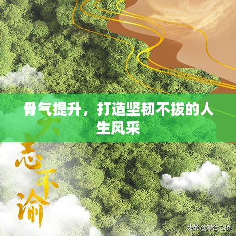 骨氣提升，打造堅韌不拔的人生風采