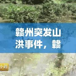 贛州突發(fā)山洪事件，贛州剛剛發(fā)生的事