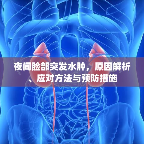 夜間臉部突發(fā)水腫，原因解析、應(yīng)對方法與預(yù)防措施