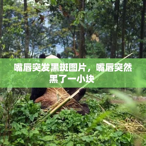 嘴唇突發(fā)黑斑圖片，嘴唇突然黑了一小塊