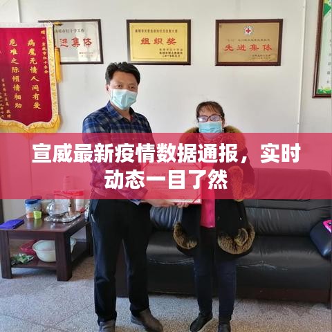 宣威最新疫情數(shù)據(jù)通報(bào)，實(shí)時(shí)動(dòng)態(tài)一目了然