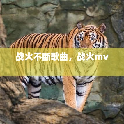 戰(zhàn)火不斷歌曲，戰(zhàn)火mv