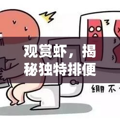 觀賞蝦，揭秘獨(dú)特排便魅力的秘密