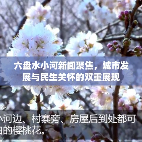 六盤水小河新聞動(dòng)態(tài)，城市發(fā)展與民生關(guān)懷同步展現(xiàn)