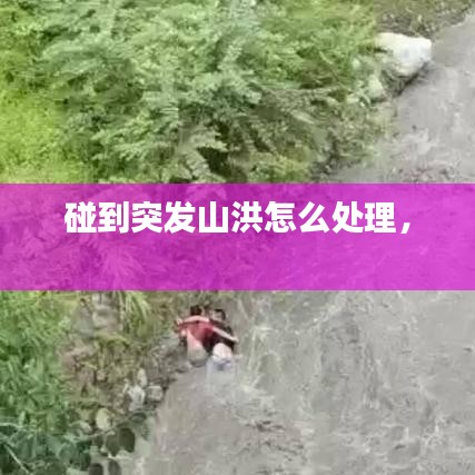 突發(fā)山洪應(yīng)對(duì)指南，處理與自救方法