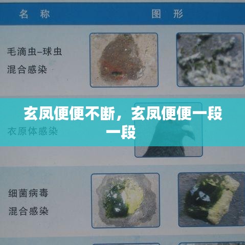 玄鳳便便不斷，玄鳳便便一段一段 
