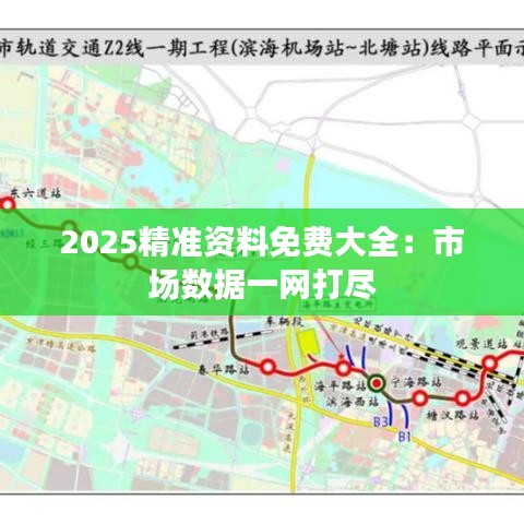 2025精準(zhǔn)資料免費(fèi)大全：市場(chǎng)數(shù)據(jù)一網(wǎng)打盡