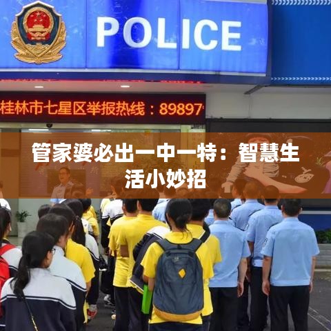 管家婆必出一中一特：智慧生活小妙招