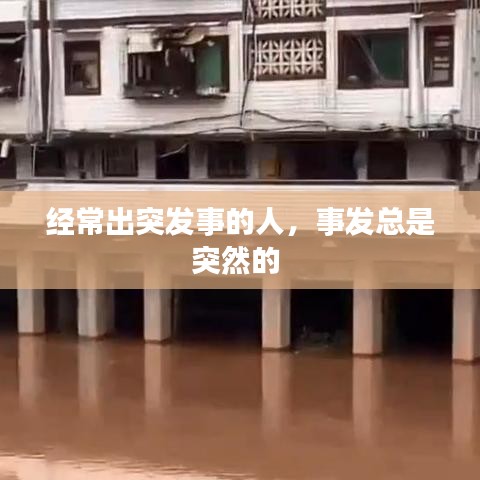 狗尾續(xù)貂 第2頁