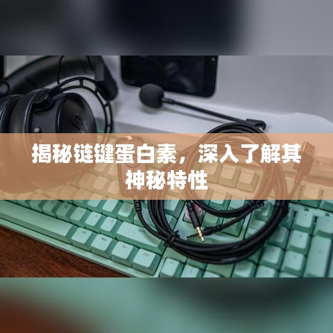 揭秘鏈鍵蛋白素，深入了解其神秘特性