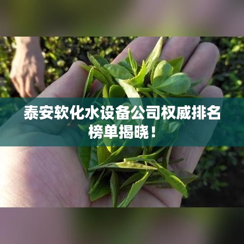 泰安軟化水設備公司權威排名榜單揭曉！