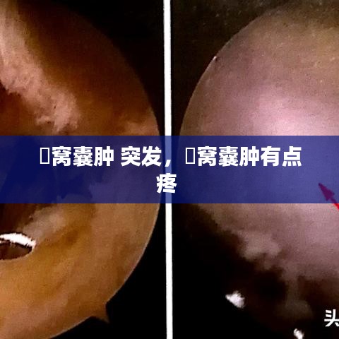 豪門貴胄 第2頁(yè)