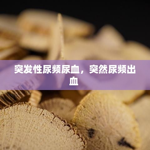 突發(fā)性尿頻尿血，突然尿頻出血 