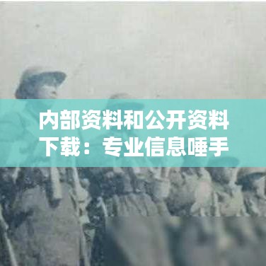 內(nèi)部資料和公開資料下載：專業(yè)信息唾手可得