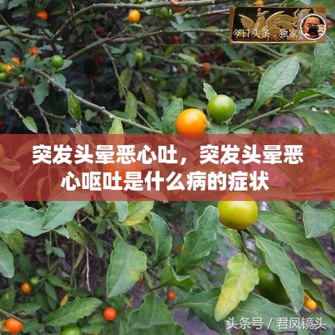突發(fā)頭暈惡心吐，突發(fā)頭暈惡心嘔吐是什么病的癥狀 