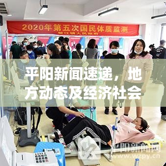 平陽(yáng)新聞速遞，地方動(dòng)態(tài)及經(jīng)濟(jì)社會(huì)發(fā)展全掌握