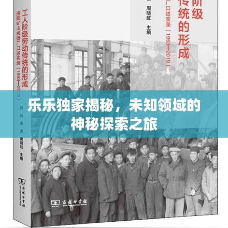 樂樂獨家揭秘，未知領域的神秘探索之旅