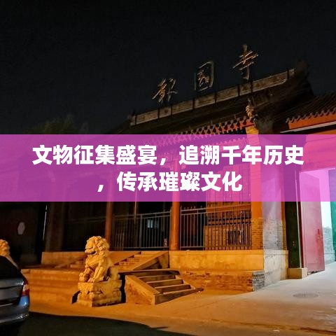 文物征集盛宴，追溯千年歷史，傳承璀璨文化