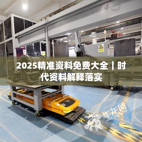 2025精準(zhǔn)資料免費(fèi)大全｜時(shí)代資料解釋落實(shí)