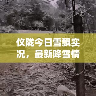 儀隴今日雪飄實(shí)況，最新降雪情況一覽