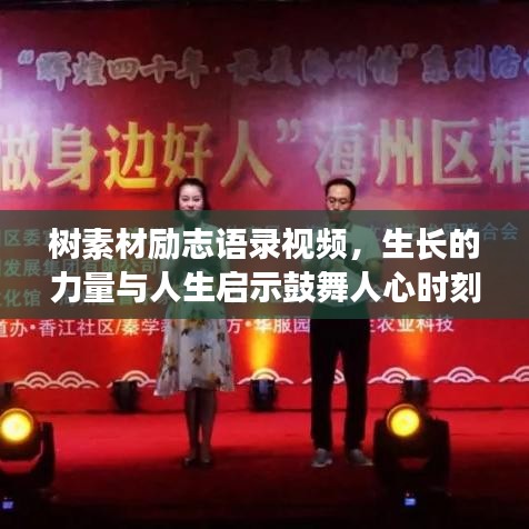 樹素材勵(lì)志語(yǔ)錄視頻，生長(zhǎng)的力量與人生啟示鼓舞人心時(shí)刻
