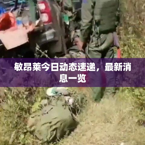 敏昂萊今日動(dòng)態(tài)速遞，最新消息一覽