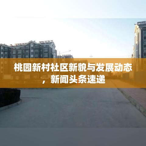 桃園新村社區(qū)新貌與發(fā)展動態(tài)，新聞頭條速遞
