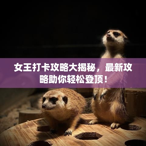 女王打卡攻略大揭秘，最新攻略助你輕松登頂！