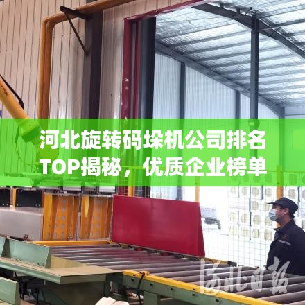 河北旋轉碼垛機公司排名TOP揭秘，優(yōu)質企業(yè)榜單不容錯過！