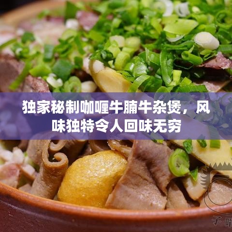 獨家秘制咖喱牛腩牛雜煲，風味獨特令人回味無窮