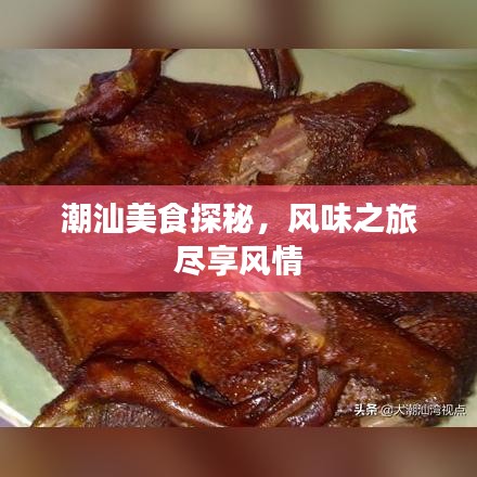 潮汕美食探秘，風(fēng)味之旅盡享風(fēng)情