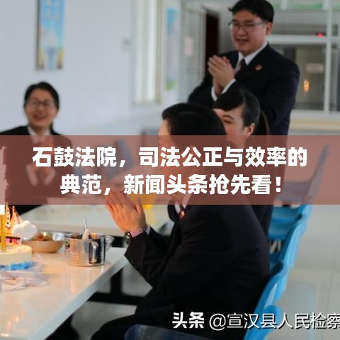 石鼓法院，司法公正與效率的典范，新聞頭條搶先看！