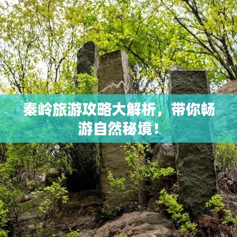 秦嶺旅游攻略大解析，帶你暢游自然秘境！