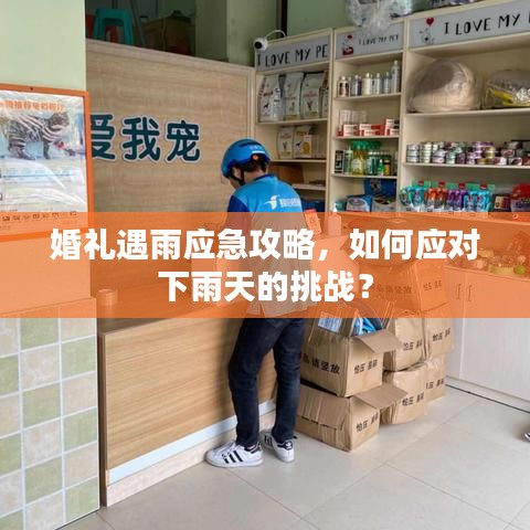 婚禮遇雨應(yīng)急攻略，如何應(yīng)對下雨天的挑戰(zhàn)？
