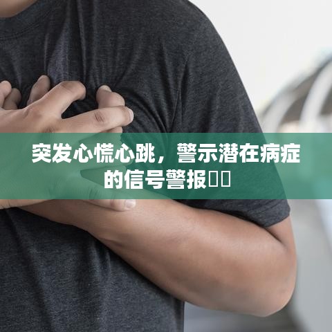 突發(fā)心慌心跳，警示潛在病癥的信號(hào)警報(bào)??