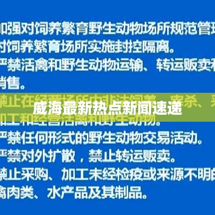 威海最新熱點(diǎn)新聞速遞