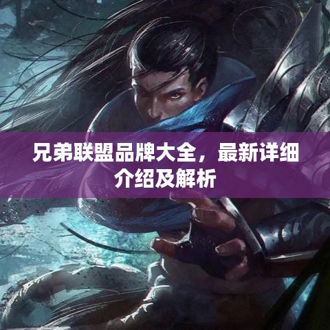 兄弟聯(lián)盟品牌大全，最新詳細(xì)介紹及解析