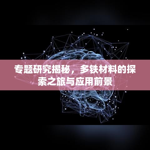 專題研究揭秘，多鐵材料的探索之旅與應(yīng)用前景
