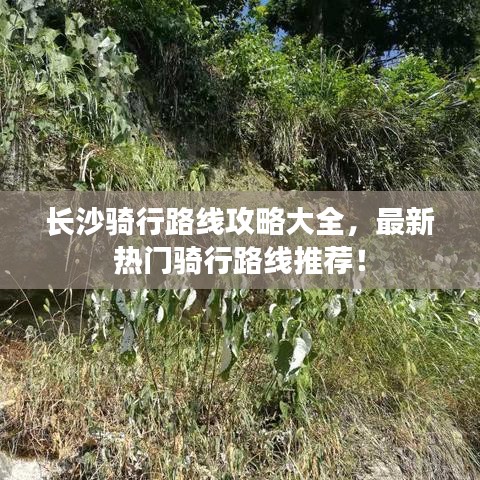 回眸最初 第2頁(yè)