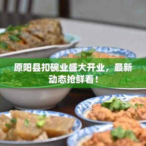原陽縣扣碗業(yè)盛大開業(yè)，最新動態(tài)搶鮮看！