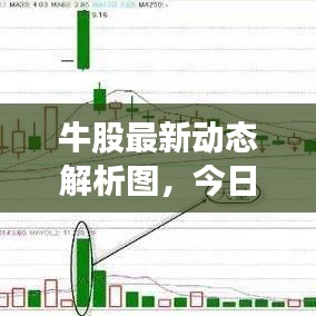 牛股最新動態(tài)解析圖，今日市場走勢揭秘