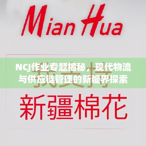 NCJ作業(yè)專題揭秘，現(xiàn)代物流與供應(yīng)鏈管理的新疆界探索