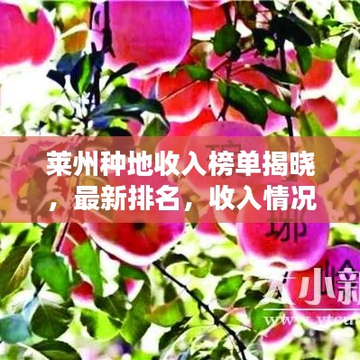 萊州種地收入榜單揭曉，最新排名，收入情況大揭秘！