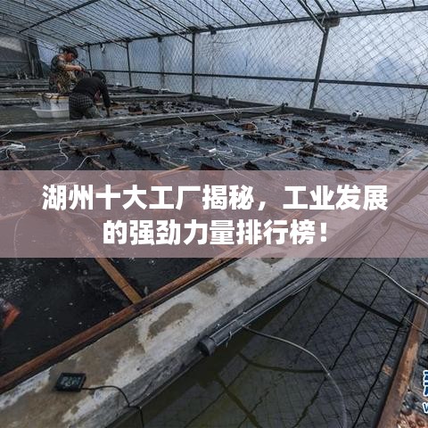 湖州十大工廠揭秘，工業(yè)發(fā)展的強(qiáng)勁力量排行榜！