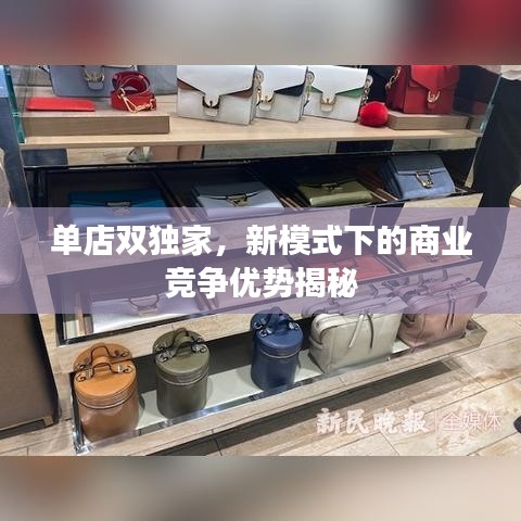 單店雙獨(dú)家，新模式下的商業(yè)競(jìng)爭(zhēng)優(yōu)勢(shì)揭秘