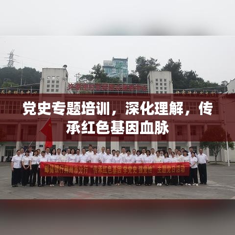 黨史專題培訓(xùn)，深化理解，傳承紅色基因血脈