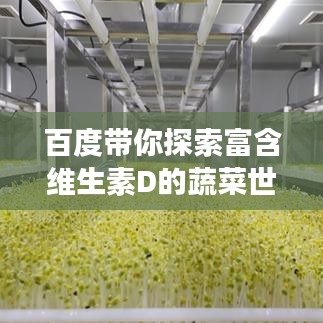 百度帶你探索富含維生素D的蔬菜世界，領(lǐng)略豐富菜籃子，健康每一天！