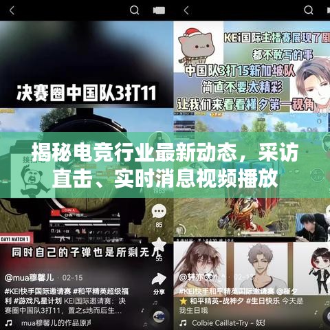 揭秘電競(jìng)行業(yè)最新動(dòng)態(tài)，采訪直擊、實(shí)時(shí)消息視頻播放