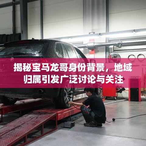 揭秘寶馬龍哥身份背景，地域歸屬引發(fā)廣泛討論與關(guān)注