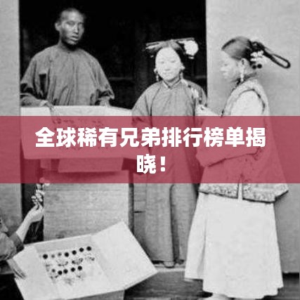 全球稀有兄弟排行榜單揭曉！